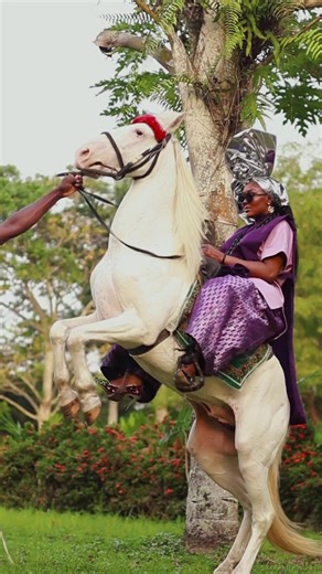 Exploring Harmony in Class and Culture