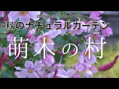 【宿根草の庭】萌木の村は秋もやっぱり素敵！〜八ヶ岳のナチュラルガーデン散策〜
