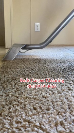 Reds Carpet Cleaning on Reels | Facebook
