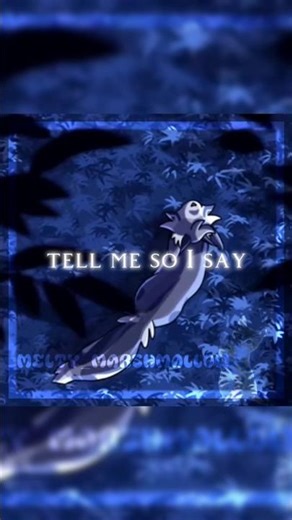 feathertail edittt 🪶 #warriorcats #feathertail #edit