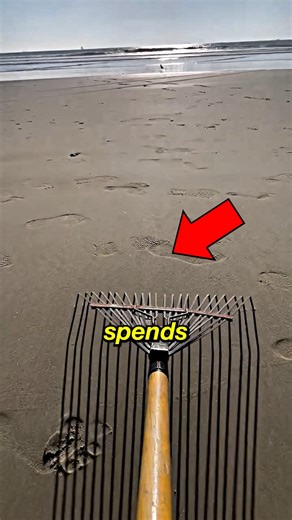 The Most Amazing Beach Art #shorts