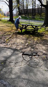 1.1M views · 7.7K reactions | Does anyone else’s grandma scrub the picnic table clean with dish soap?#greek #grandma #yiayia #comedy #foryou #clean #dishsoap #greekgrandma #greece | Yiayia Sofia | Facebook