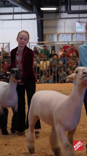 11K views · 116 reactions | It's the Agri Supply way. #soutthernfamily #localbusiness #workfamily | Agri Supply | Facebook