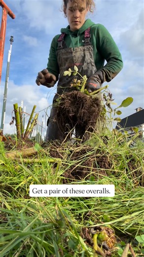 Galena Berkompas • Urban Flower Farm • Education on Instagram: "Seriously, it will make your winter farm/garden life so much better. These are technically fishing bibs and I don’t fish at all…. but I won’t even do winter farm work without them at this point. Waterproof, flexible, durable…. They slip over normal clothes easily and it is WAY more enjoyable to do winter farm work with them because you stay dry the entire time. These are neptune bibs from @grundens. Seriously, if you’re tired of get