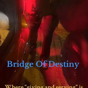 Bridge of Destiny on Reels