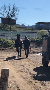 8.5K views · 1.2K reactions | Even Hargill is feeling festive and getting ready to strut into the new year! | Victoria Principal | Facebook