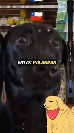 NEVER SAY THESE WORDS IN OTHER COUNTRIES! #words #dictionary #shorts