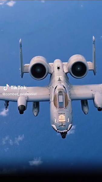 A-10 Warthogs in Action: Operation Iron Thunder Footage