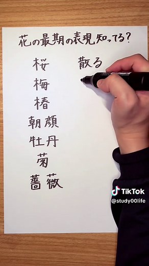 TikTokで生涯学習ガイドラインさんをチェック！