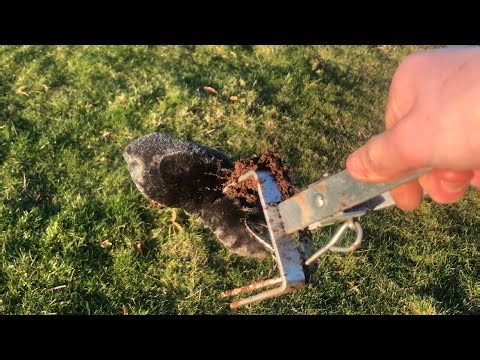 how to mole trap