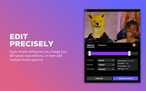 How To Download Gif From Giphy Mac