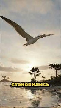 Pelagornis — птица, стёртая небом #prehistoric #extinction #shorts