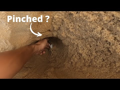 How to catch sand crabs on the beach | Sand crabs digging