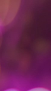 ⭐ A photo session your child will never forget! ⭐ #enchantedfairies #fairies #fineartportraits | Enchanted Fairies