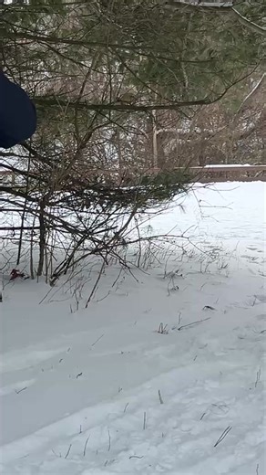 Autumn Pitchure TV is live from Echo Valley for their opening day!!! | News Channel 3 WWMT TV