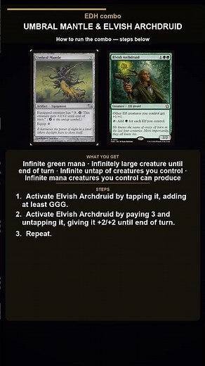 MTG EDH Combo Explained