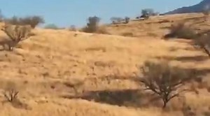 #VIDEO - Immigrant challenges Border Patrol