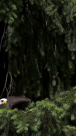 2.9K views · 67 reactions | Our Daily Bread on Reels | Facebook