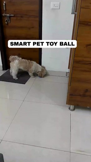 🐾 Make Playtime Pawsome! Tired of boring toys that don’t last? Give your furry friend the joy they deserve with PawZilla’s ultra-fun, safe, and durable pet toys! Perfect for tugging, chasing, chewing — and tail-wagging happiness. 🐶🐱 🎁 Shop now and make every day a play day! Perfect for tugging, chasing, chewing, and tail-wagging happiness. 🐶🐱 | PawZilla