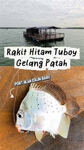 Fishing Adventures at Port Ikan Daun Baru