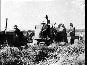 Farming Rice Aka Ricelands Of Australia Issue Title Is Good Hunting (1944)