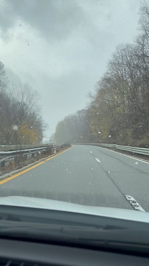 ❄️ What's this? What's this? What IS this⁉️ | Stone Cold and The Jackal