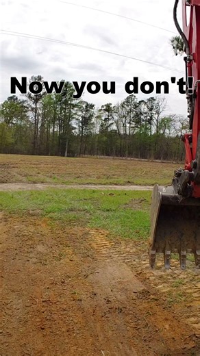 “Made this tree disappear 😳 #Shorts