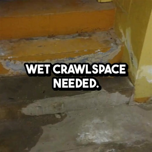 What’s worse than a damp, wet crawlspace? Trying to fix it with waterproofing and realizing that was NOT the solution you needed. We want to help you avoid a very costly mistake. One of the biggest problems out there is pushy salespeople trying to make a commission by selling you services that might not address the real issue. We do things differently. It starts with a stress-free and honest assessment of your crawlspace from our local representatives. No pushy sales tactics. If it makes sense t