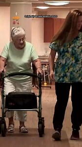 828K views · 18K reactions | Scout, a stray dog, was living at this animal shelter in Bellaire, Michigan, until he made his great escape. He scaled the 7-foot fence and then crossed a busy highway before running into a nursing home. Although the staff returned the dog to the shelter, he escaped two more times. The nursing home eventually adopted Scout. Now, the adorable dog visits his patients and sometimes sneaks in a game of fetch. | Inside Edition | Facebook