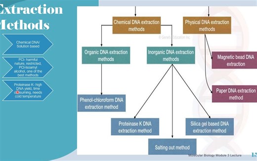 DNA提取DNA Extraction搬运视频