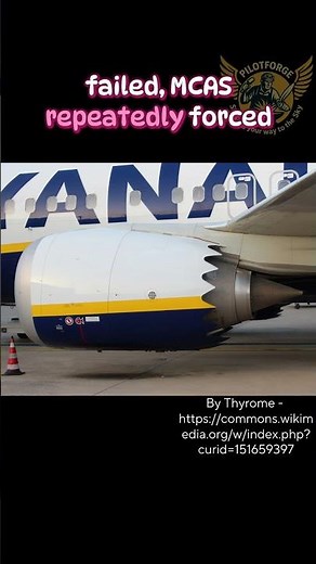 What Went Wrong With the 737 MAX? #boeing737 #aviation