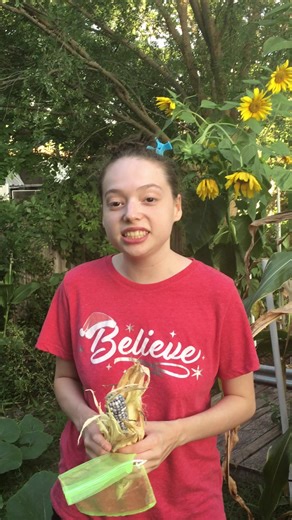 Protecting Corn from Birds: Effective Strategies