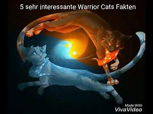 5 sehr INTERESSANTE Warrior Cats Fakten (2)|+Ende der Verlosung (Teilnehmer)|Warrior Cats Feuerstern