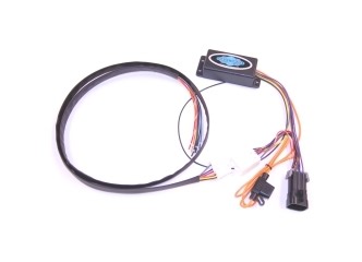 The Indian Larry Twisted Frame Chopper | J&P Custom Motorcycle Builds