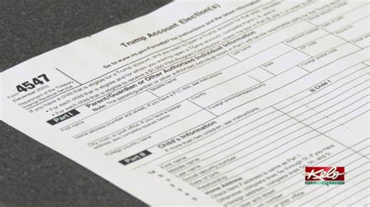 Signing up for a Trump account with your tax return