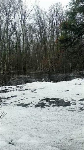Hiking the banks of Muskegon river during flood. Michigan flood 2026.