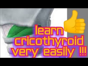 Learn cricothyroid muscle very easily !!!