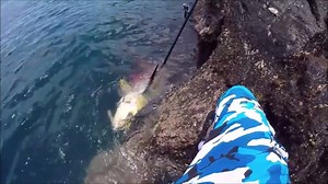 242K views · 2.3K shares | Amazing World Record 235lb Yellowfin Tuna...