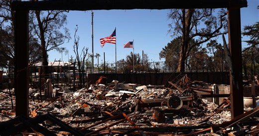 AI-Powered California Home Insurance Startup Expands into High-Risk Markets – Archyde