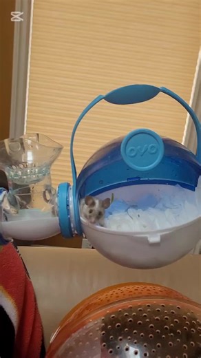 You gotta spin first - Good Mouse!