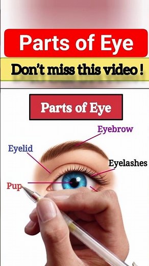 Parts of the Eye | Learn Human Eye Parts and Their Functions