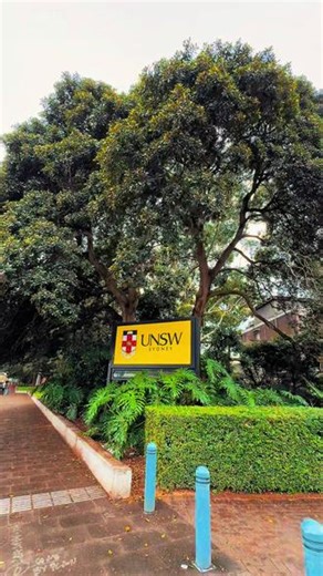 #UNSW #新南威尔士大学 #悉尼 #悉尼留学 #澳大利亚 新南威尔士大学 🇦🇺