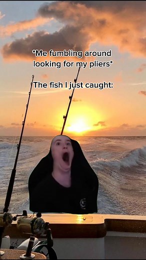 sorry buddy | Ocean Universal