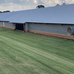 [Hot Item] Prefab Steel Flexible and Scalable Structure Bungalow Modular Homes Office Container Prefabricated Building