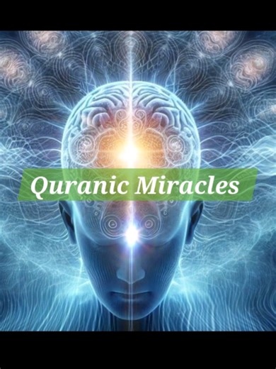 The Quranic Miracle of the Human Brain | Frontal Lobe Facts Did you know that the Quran mentioned the specific part of the brain responsible for human actions 1400 years ago? Modern science calls it the Frontal Lobe. This video explains the incredible link between the story of Abu Jahl and this scientific discovery. Watch till the end to understand this amazing Quranic miracle. Background Video Credit: Pixabay (u_aashy2t3r5) Background Nasheed Audio Credit: BD Free Media [Used under no copyright