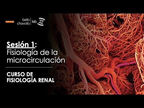 Fisiología de la microcirculación