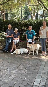 The annual Blessing of the Animals honors tomorrow's feast of St. Francis of Assisi, patron saint of animals. Find a pet blessing near you and learn about the saint: https://bit.ly/3RvOs9f | Catholic News Herald