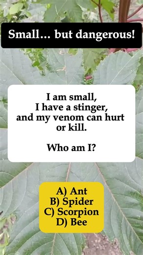 🐝 Small, Have a Stinger, Venom Can Hurt or Kill – Who Am I? #shorts #iqvistax #brainteaser #animal