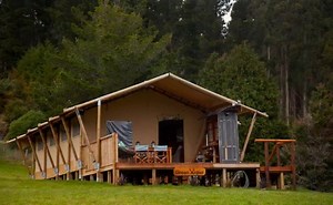 10K views · 172 reactions | A big welcome to new Banks Peninsula campsite 'The Green Antler'! With a huge, stylish safari tent, hot tub, and beautiful views, this one is going to be popular! Book online here - www.canopycamping.co.nz/greenantler | Canopy Camping Escapes | Facebook