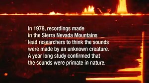 2.5K reactions · 417 shares | Ancient Aliens were rumored to have experimented with hybrid mutations. Do you believe in present day #Cryptid creatures lurking in the shadows? Don’t miss HISTORY’s new series that gives life to one of America's chilling legends with eye witness accounts and real news footage, tonight at 10/9c. | Ancient Aliens | Facebook